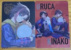 CR CRAZYRACCOONチップス ステッカー きなこ うるか