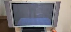 即購入OK　EIZO FlexScan L565 20.1インチ モニター