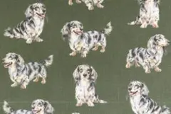 【ゆきちゃん限定】X2561-1 ダックス シルバーダップル カーキ 生地 1m