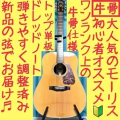 牛骨】YAMAHA☆ヤマハ！LJ6！A.R.E【弾き易く調整☆新品の弦】 - メルカリ