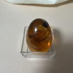 天然琥珀 虫入りアンバー 琥珀 ルース 宝石素材