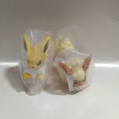 ポケモンキッズ　サンダースとブースター⑰
