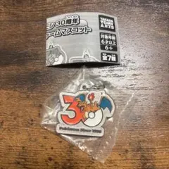 ポケモン30周年 メタルチャームマスコット リザードン