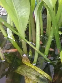 ほしほし様 リクエスト 3点 まとめ商品