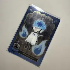 ツイステ＊オルト＊イグニハイド＊メタルカード③