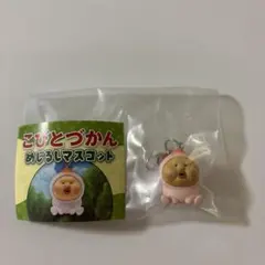 【匿名配送】こびとづかん　カクレモモジリ　めじるしアクセサリー