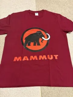 アウトドアTシャツ