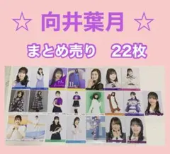 乃木坂46 ⭐️ 向井葉月　⭐️ ストライプなどセミコン５点含む　まとめ売り　22枚