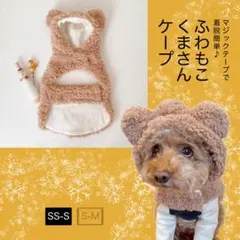 Item thumbnail for item 81aee5a7-7b41-4e40-90ed-0317d659ae9a