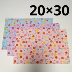 Item thumbnail for item 3faed0fb-062d-42e4-8e2e-b12651ccbb04