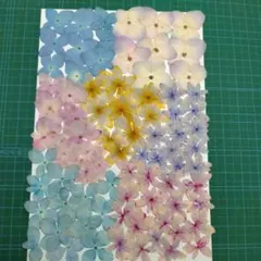 はなな様 リクエスト 2点 まとめ商品