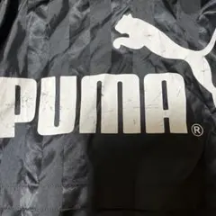 Item thumbnail for item af1517be-f9fa-43f9-a166-3330c8e612e9