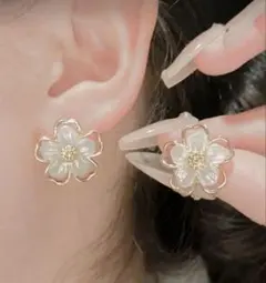 Item thumbnail for item c6c082e9-1990-4dee-95ff-5344c32f9de0