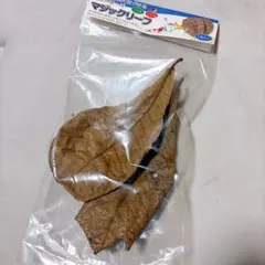 沖縄県やんばる産マジックリーフ 60g 20〜25枚入 UV殺菌灯照射済み③