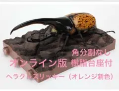 【オンライン版】ヘラクレスリッキー（新色）単品　いきもの大図鑑かぶとむし09 ②
