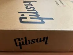 Epiphone Ikuyo Kita Model 喜多郁代モデル エピフォンのサムネイル