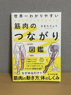 世界一わかりやすい 筋肉のつながり図鑑