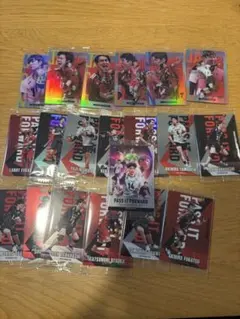 バレーボールカード 22枚セット