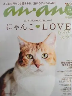 an・an　にゃんこ♡LOVE　2025年2月22日発行