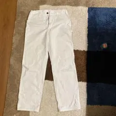 Item thumbnail for item 3e44bf33-1189-409a-adc6-4943480d9d54