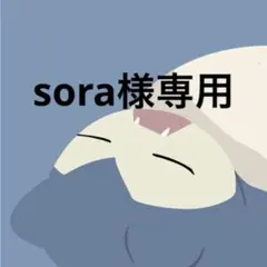 sora様専用