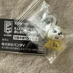 【匿名発送】B.LEAGUE マスコット めじるしアクセサリー2 サンディー