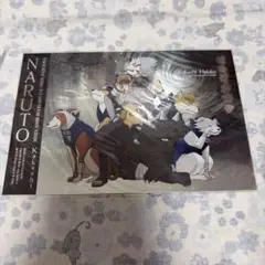 NARUTO はたけカカシ ポストカード 匿名配送 レア