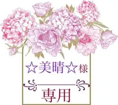 ❁☆美晴☆様専用❁