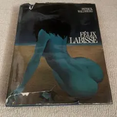 Item thumbnail for item 35003586-696c-4b1a-8533-a78d8bf407b1