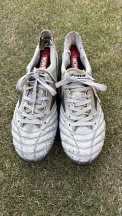 2025年最新】モレリアネオ2 mixの人気アイテム - メルカリ