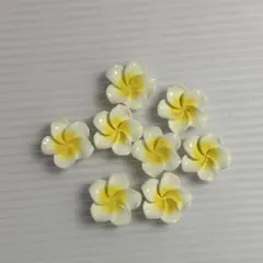プルメリア ネイルパーツ 8個セットのサムネイル