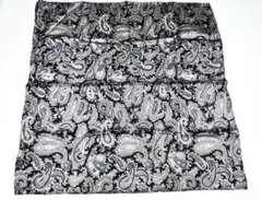 Item thumbnail for item da597af7-ac8e-4a0b-9e9e-4169019a0c27