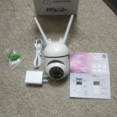 Item thumbnail for item d09c4e4b-087c-4730-9f74-f3bca77fdbdd