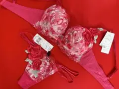 ワコール サルート ベトナムの花嫁 06G PU リッチヴェールブラ ソング