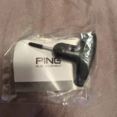 Item thumbnail for item c5a07cb6-0a4e-4488-a203-f45244744bb8