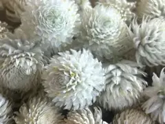 らくだ様 リクエスト 2点 まとめ商品