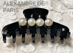 ★定価60,500円 ALEXANDREヘアクリップ 手作りTIMELESS新品