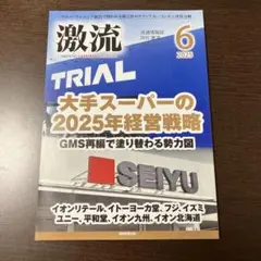 激流 2025年6月号