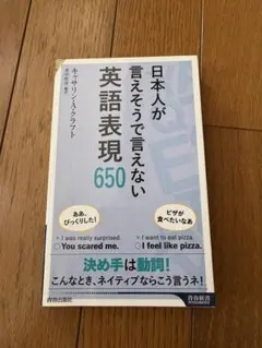 日本人が言えそうで言えない英語表現650