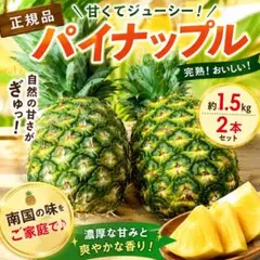 大特価】パイナップル！ジュワリーパイン7kg（1玉500g前後12〜16個程