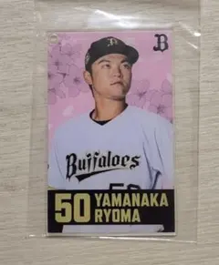 Item thumbnail for item d53e6d2b-75f5-4dcf-a3c4-cfb04b8c214e