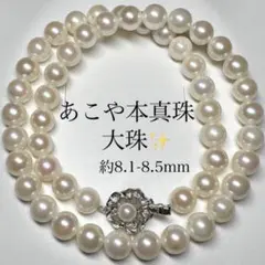 大珠 約8.1-8.5mm✨ あこや パール 本真珠ネックレス SV留め具 宝石