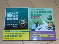 Item thumbnail for item 78c0640b-c800-4e09-995d-235108f6c715