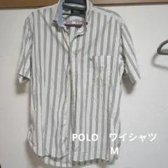 POLO ワイシャツ M ストライプのサムネイル