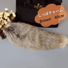 Item thumbnail for item 619b6da6-e9c9-42de-9232-395fb07bb875