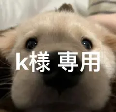 k様 専用