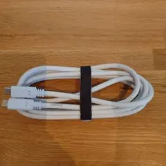 Eizo社 純正 Type-C ケーブル 白 2m 100W PD急速充電対応