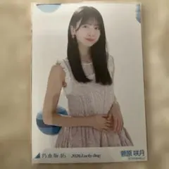 Item thumbnail for item d36562e5-b7ee-407d-a094-ec7498d5e16f