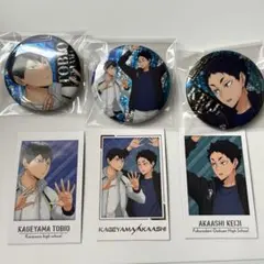 ハイキュー 缶バッジ キャラポトレ