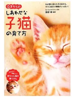 Item thumbnail for item b62096fa-4faf-41cd-927b-3b6f6c9a8bbe